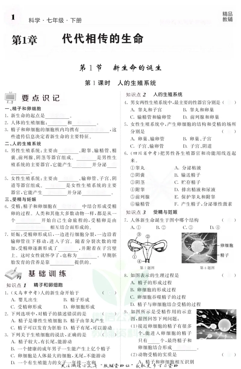 《《课堂内外》七年级下册科学浙教版A本去答案版_初中全科目同步习题+精品试卷（7-9年级）_25秋初中科学《同步习题+精品试卷》_《课堂内外》》第4页预览