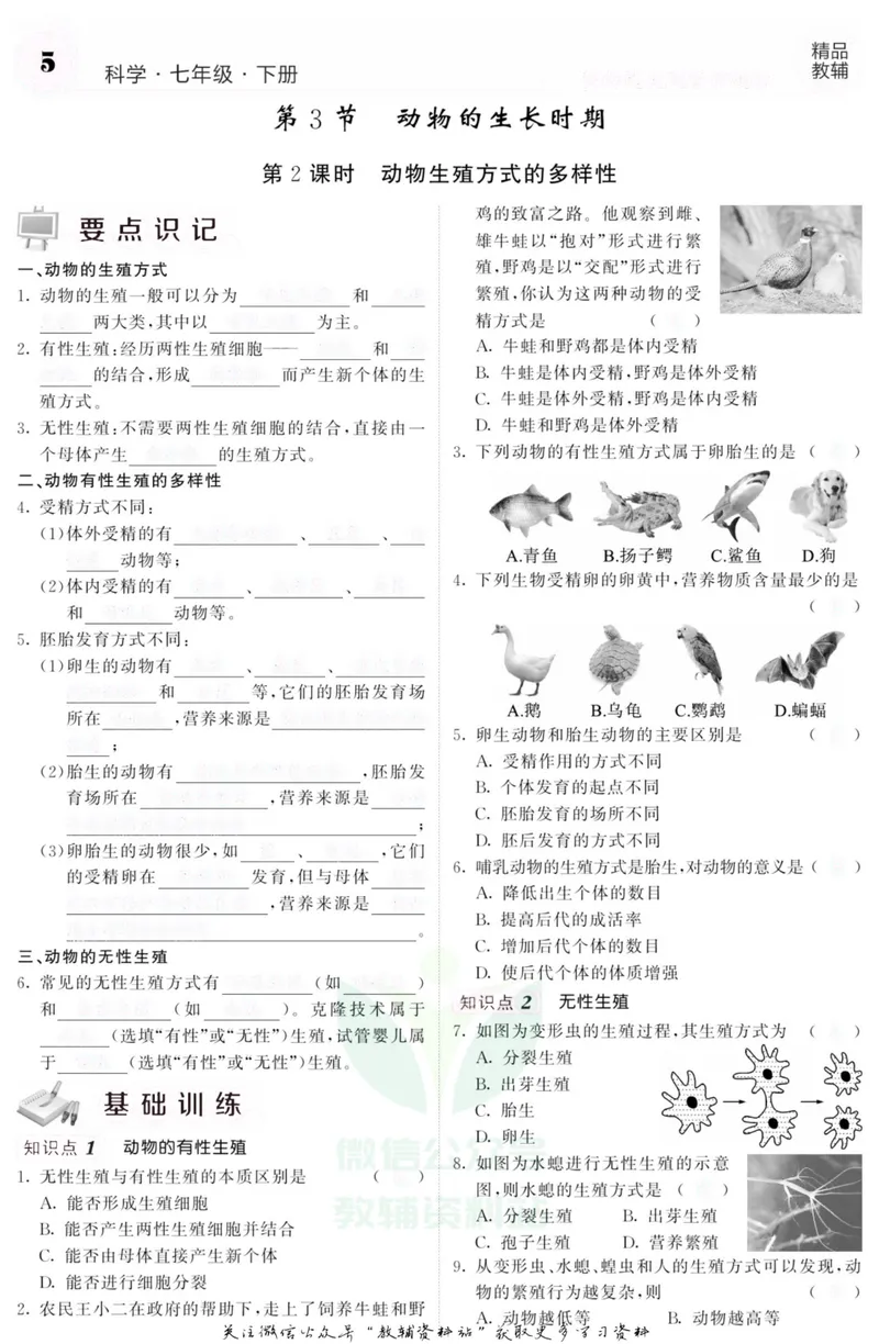 《《课堂内外》七年级下册科学浙教版A本去答案版_初中全科目同步习题+精品试卷（7-9年级）_25秋初中科学《同步习题+精品试卷》_《课堂内外》》第8页预览