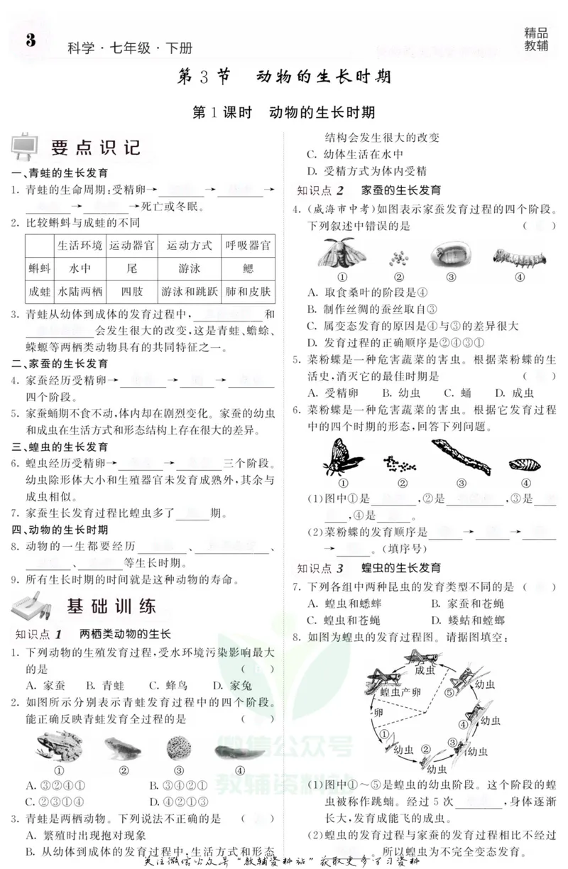 《《课堂内外》七年级下册科学浙教版B本去答案版_初中全科目同步习题+精品试卷（7-9年级）_25秋初中科学《同步习题+精品试卷》_《课堂内外》》第5页预览