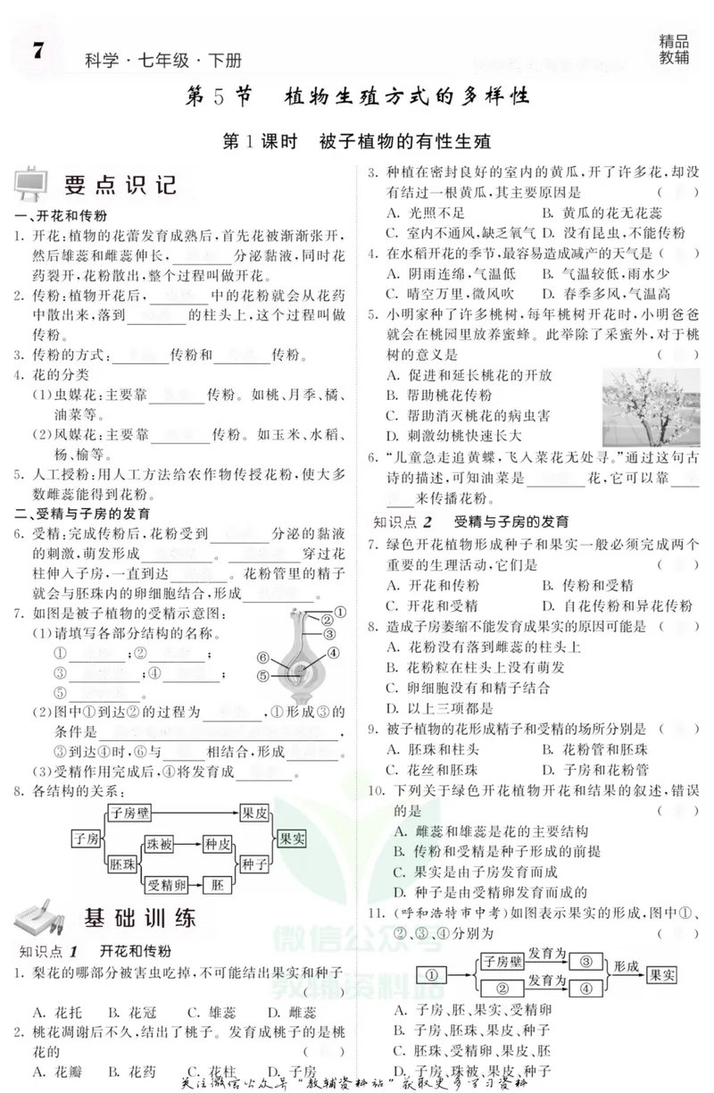《《课堂内外》七年级下册科学浙教版B本去答案版_初中全科目同步习题+精品试卷（7-9年级）_25秋初中科学《同步习题+精品试卷》_《课堂内外》》第9页预览