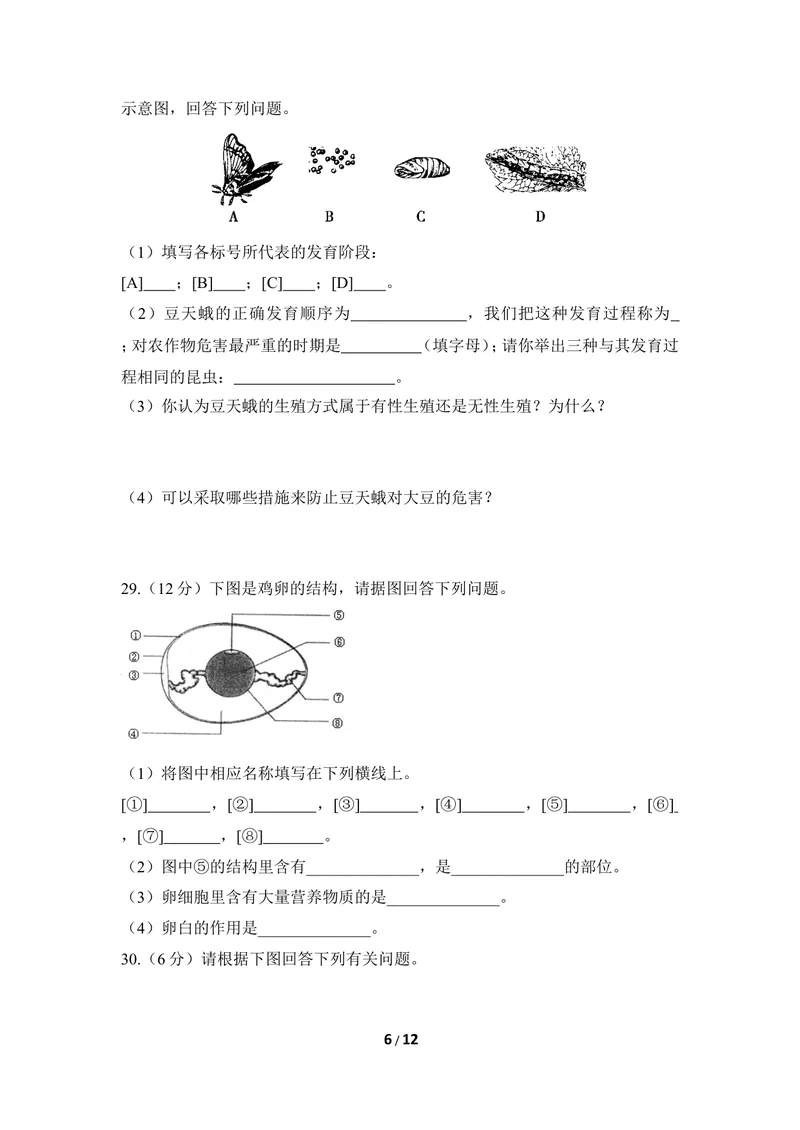 《《生物的繁殖》章末测试_初中全科目同步习题+精品试卷（7-9年级）_25秋初中生物《同步习题+精品试卷》_初中生物试卷（冀少版）_《同步练习+教案学案》_八年级下册_第一章生物的繁殖》第6页预览