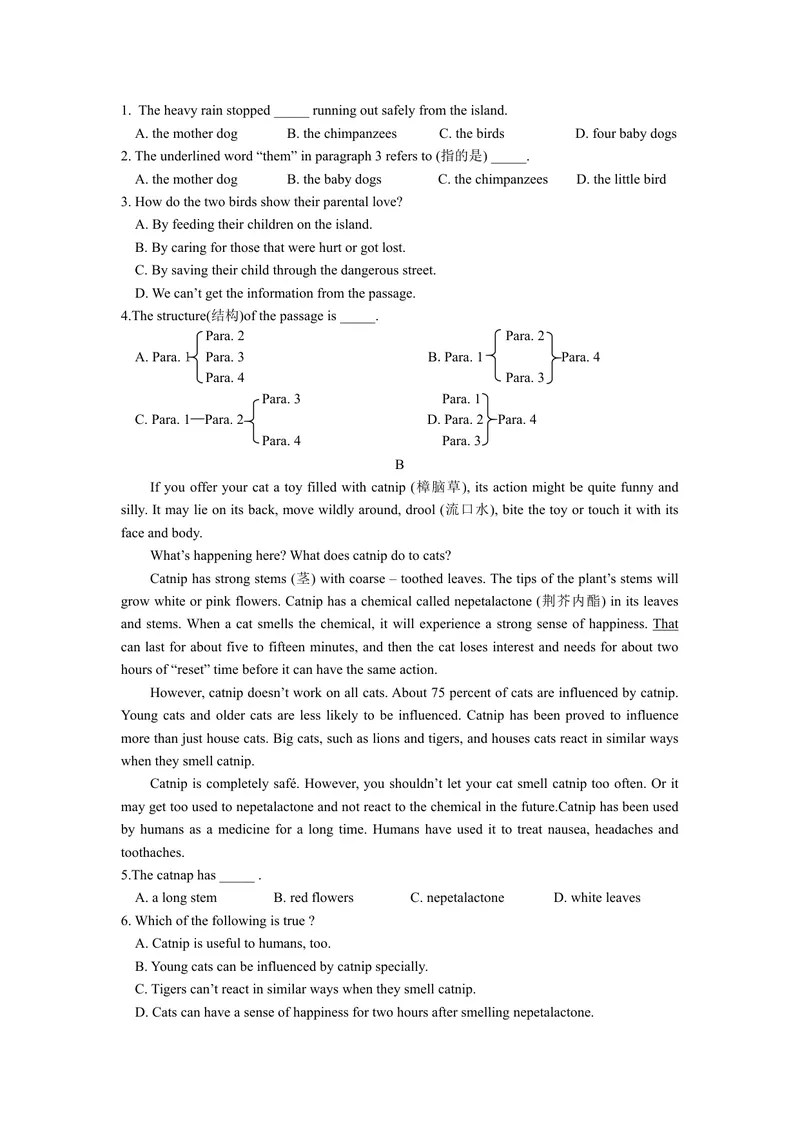 《八年级上册第六单元作业设计_0作业_初中全科目同步习题+精品试卷（7-9年级）_25秋初中英语《同步习题+精品试卷》_初中英语（译林版）试卷_《优秀作业单》_八年级》第4页预览