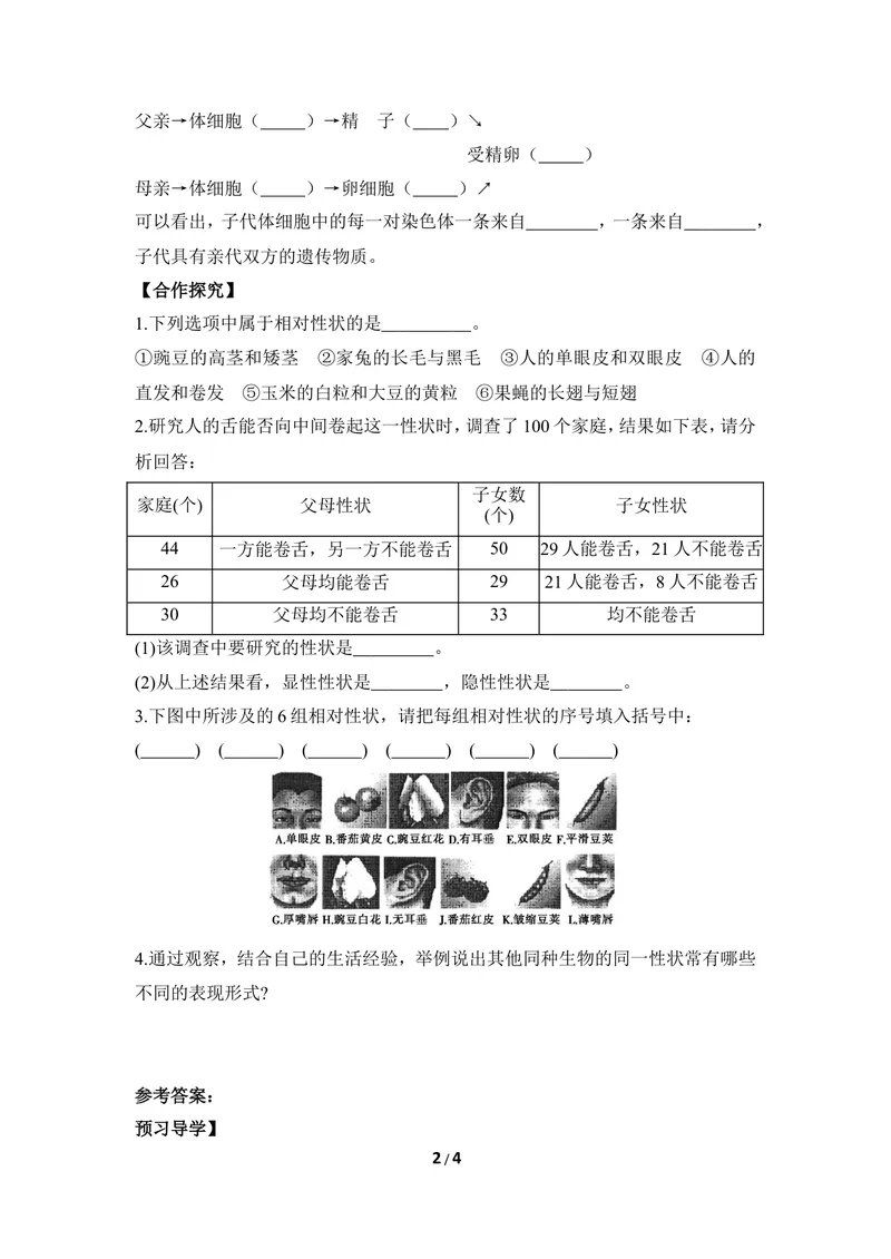 《《遗传》第一课时导学案_初中全科目同步习题+精品试卷（7-9年级）_25秋初中生物《同步习题+精品试卷》_初中生物试卷（冀少版）_《同步练习+教案学案》_八年级下册》第2页预览