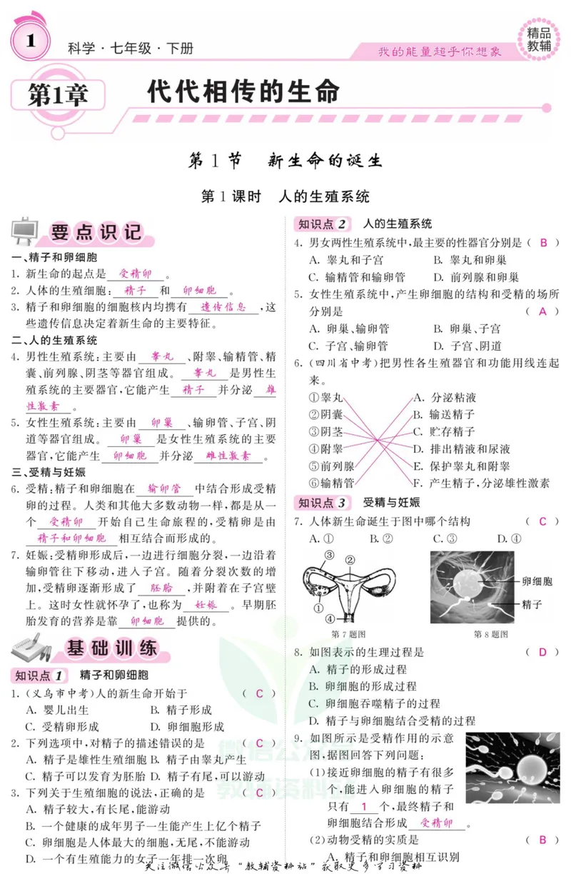 《《课堂内外》七年级下册科学浙教版A本教师用书_初中全科目同步习题+精品试卷（7-9年级）_25秋初中科学《同步习题+精品试卷》_《课堂内外》》第4页预览