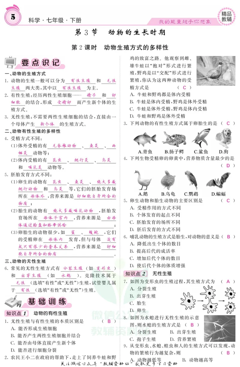 《《课堂内外》七年级下册科学浙教版A本教师用书_初中全科目同步习题+精品试卷（7-9年级）_25秋初中科学《同步习题+精品试卷》_《课堂内外》》第8页预览