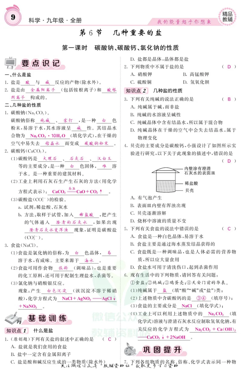 《《课堂内外》九年级全册科学浙江专版A本教师用书_初中全科目同步习题+精品试卷（7-9年级）_25秋初中科学《同步习题+精品试卷》_《课堂内外》》第10页预览