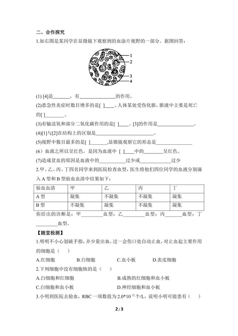 《《物质运输的载体》导学案1_初中全科目同步习题+精品试卷（7-9年级）_25秋初中生物《同步习题+精品试卷》_初中生物试卷（冀少版）_《同步练习+教案学案》_七年级下册》第2页预览