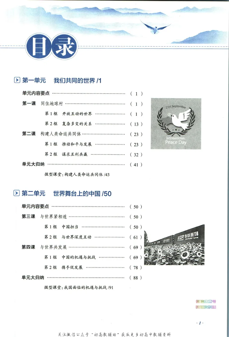 《中学教材全解九年级下册道法人教版_初中《教材全解》7-9年级上下册_初中道法《中学教材全解》7-9年级上下册》第7页预览