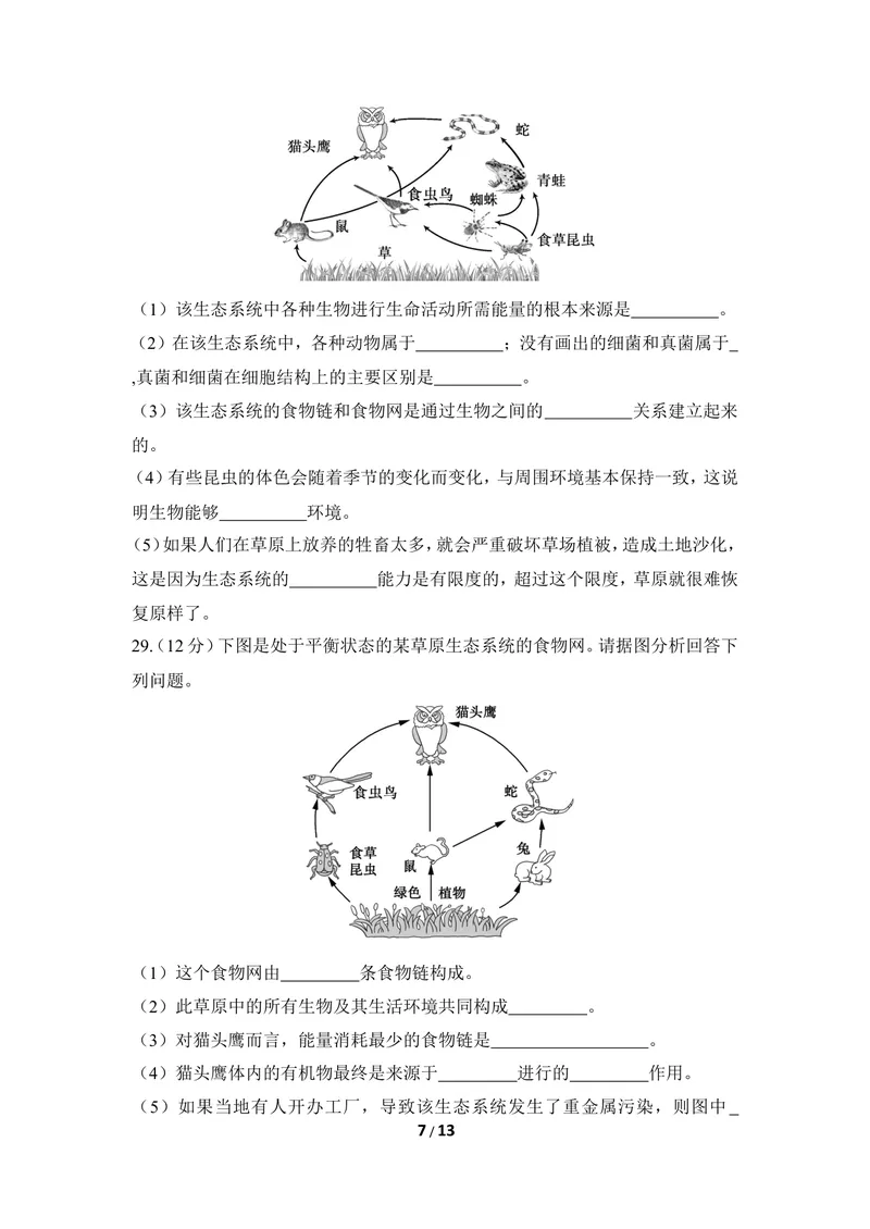 《《生态系统》章末测试_初中全科目同步习题+精品试卷（7-9年级）_25秋初中生物《同步习题+精品试卷》_初中生物试卷（冀少版）_《同步练习+教案学案》_八年级下册_第七单元生物与环境》第7页预览