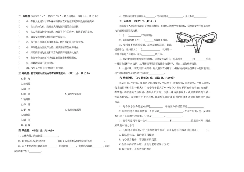 《人教版生物七年级下册：人的由来试题(含答案)_初中全科目同步习题+精品试卷（7-9年级）_25秋初中生物《同步习题+精品试卷》_初中生物试卷（北师大）_《单元试卷》_单元试卷7B_单元检测》第2页预览