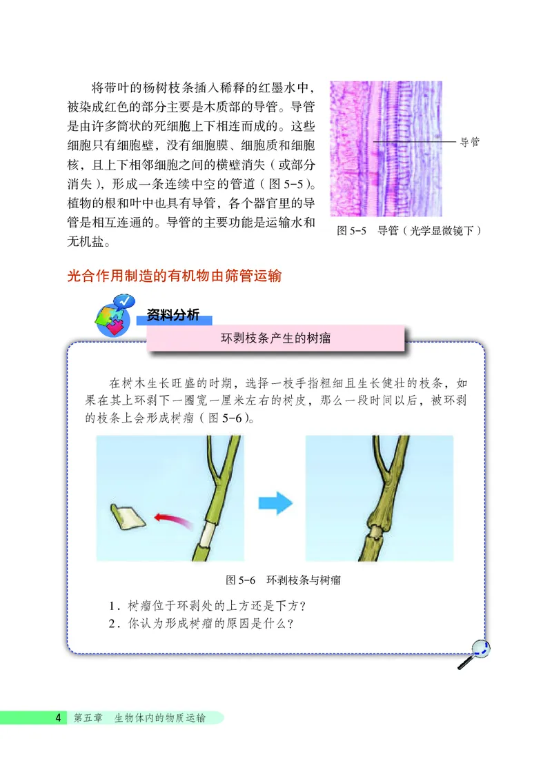 《生物学七年级下册_光塔笔记初中课本_初中生物学_北京版》第10页预览