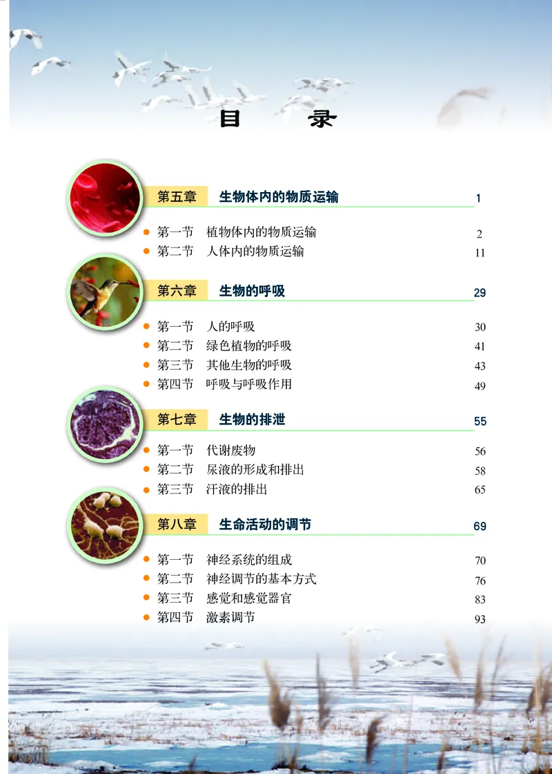 《生物学七年级下册_光塔笔记初中课本_初中生物学_北京版》第5页预览