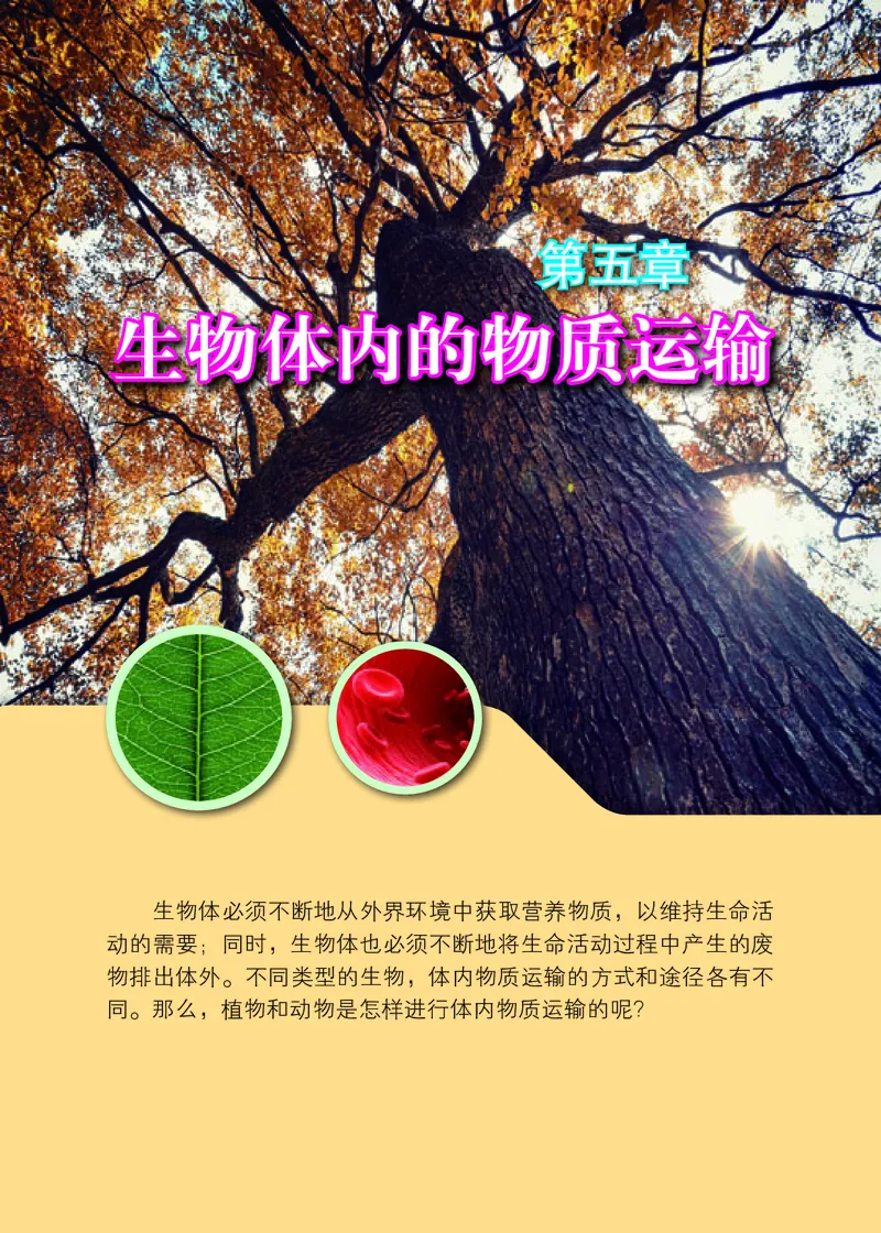 《生物学七年级下册_光塔笔记初中课本_初中生物学_北京版》第7页预览