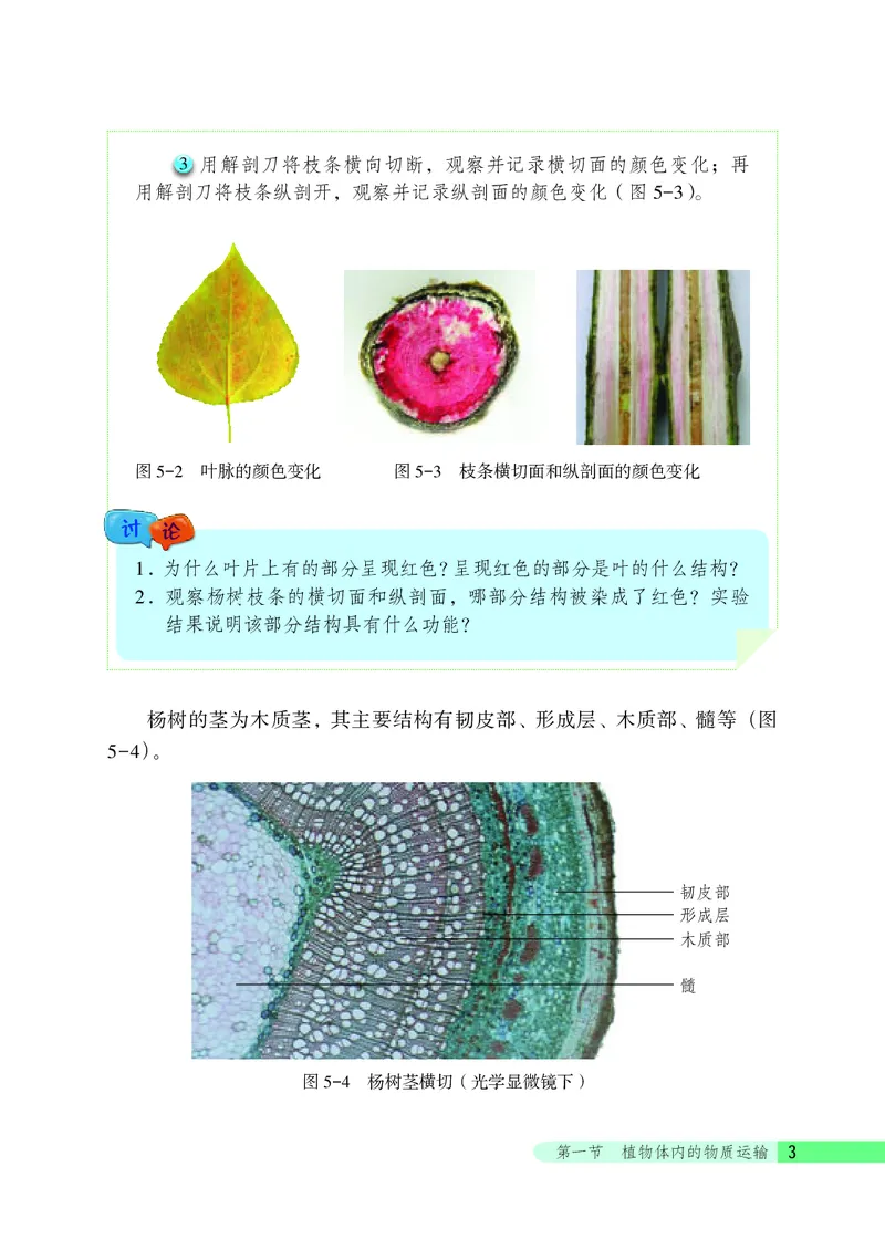 《生物学七年级下册_光塔笔记初中课本_初中生物学_北京版》第9页预览