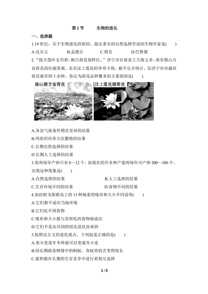 《《生物的进化》同步练习2_初中全科目同步习题+精品试卷（7-9年级）_25秋初中生物《同步习题+精品试卷》_初中生物试卷（冀少版）_《同步练习+教案学案》_八年级下册》第1页预览