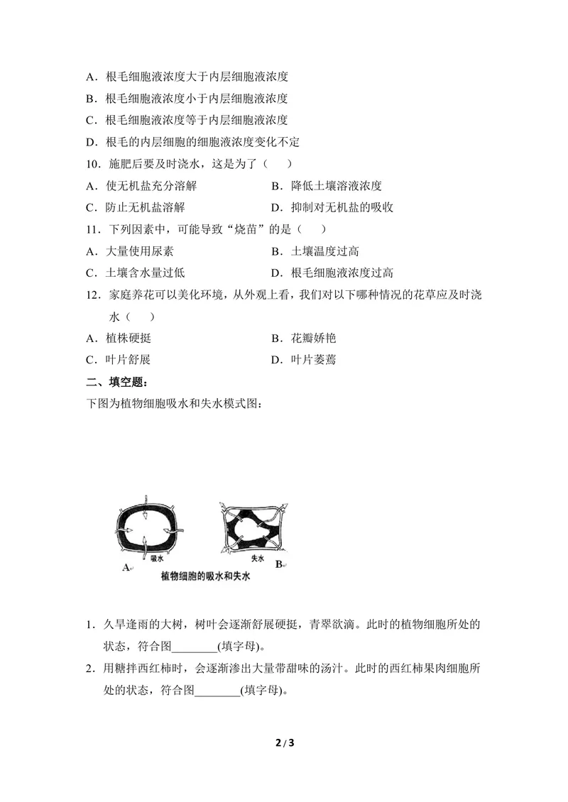 《《根对水分的吸收》同步练习_初中全科目同步习题+精品试卷（7-9年级）_25秋初中生物《同步习题+精品试卷》_初中生物试卷（冀少版）_《同步练习+教案学案》_八年级上册》第2页预览