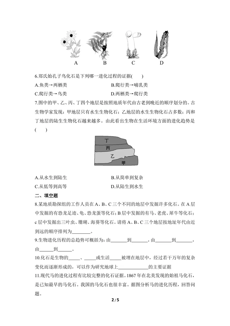 《《生物的进化》同步练习1_初中全科目同步习题+精品试卷（7-9年级）_25秋初中生物《同步习题+精品试卷》_初中生物试卷（冀少版）_《同步练习+教案学案》_八年级下册》第2页预览