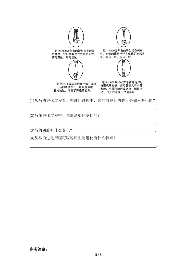 《《生物的进化》同步练习1_初中全科目同步习题+精品试卷（7-9年级）_25秋初中生物《同步习题+精品试卷》_初中生物试卷（冀少版）_《同步练习+教案学案》_八年级下册》第3页预览