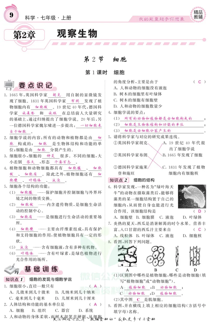 《《课堂内外》七年级上册科学浙教版B本教师用书_初中全科目同步习题+精品试卷（7-9年级）_25秋初中科学《同步习题+精品试卷》_《课堂内外》》第10页预览