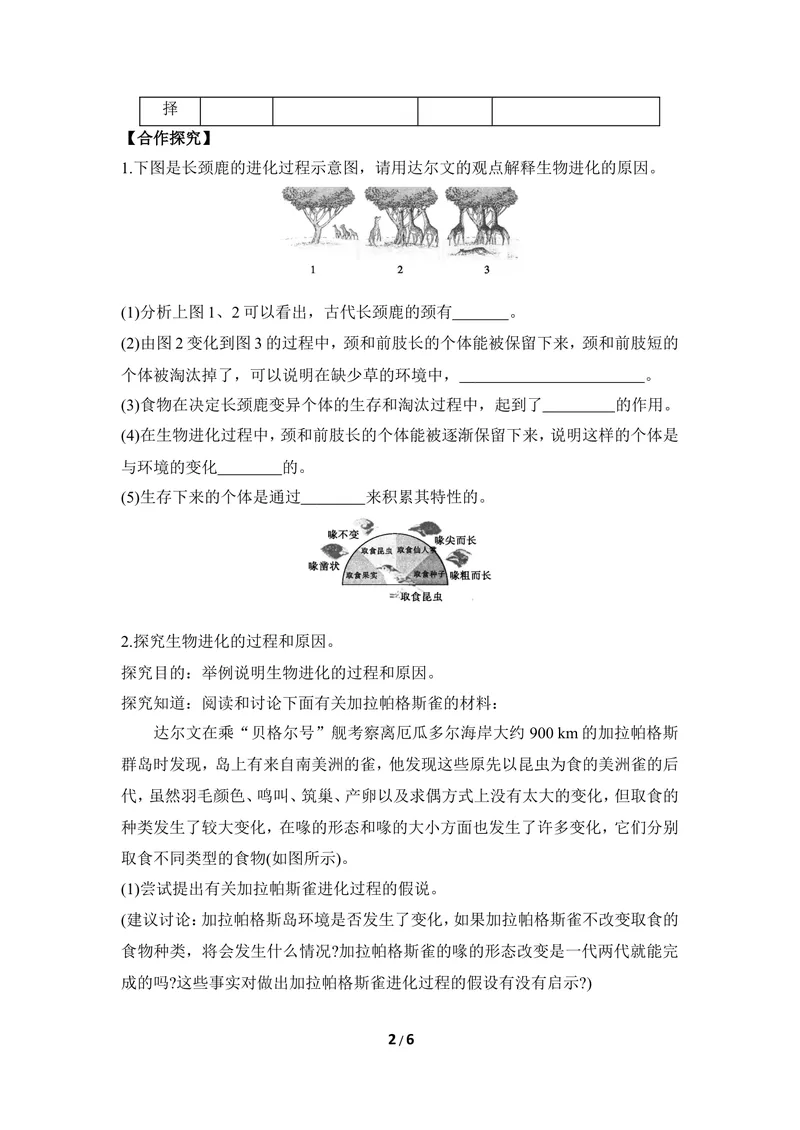 《《生物的进化》第二课时导学案2_初中全科目同步习题+精品试卷（7-9年级）_25秋初中生物《同步习题+精品试卷》_初中生物试卷（冀少版）_《同步练习+教案学案》_八年级下册》第2页预览