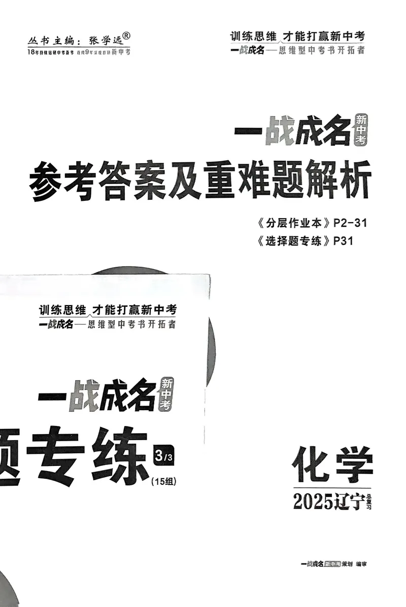 《一战成名-新中考化学-4-参考答案_初中全科目同步习题+精品试卷（7-9年级）_25秋初中化学《同步习题+精品试卷》_初中化学（人教版）试卷_《一战成名》25春》第2页预览