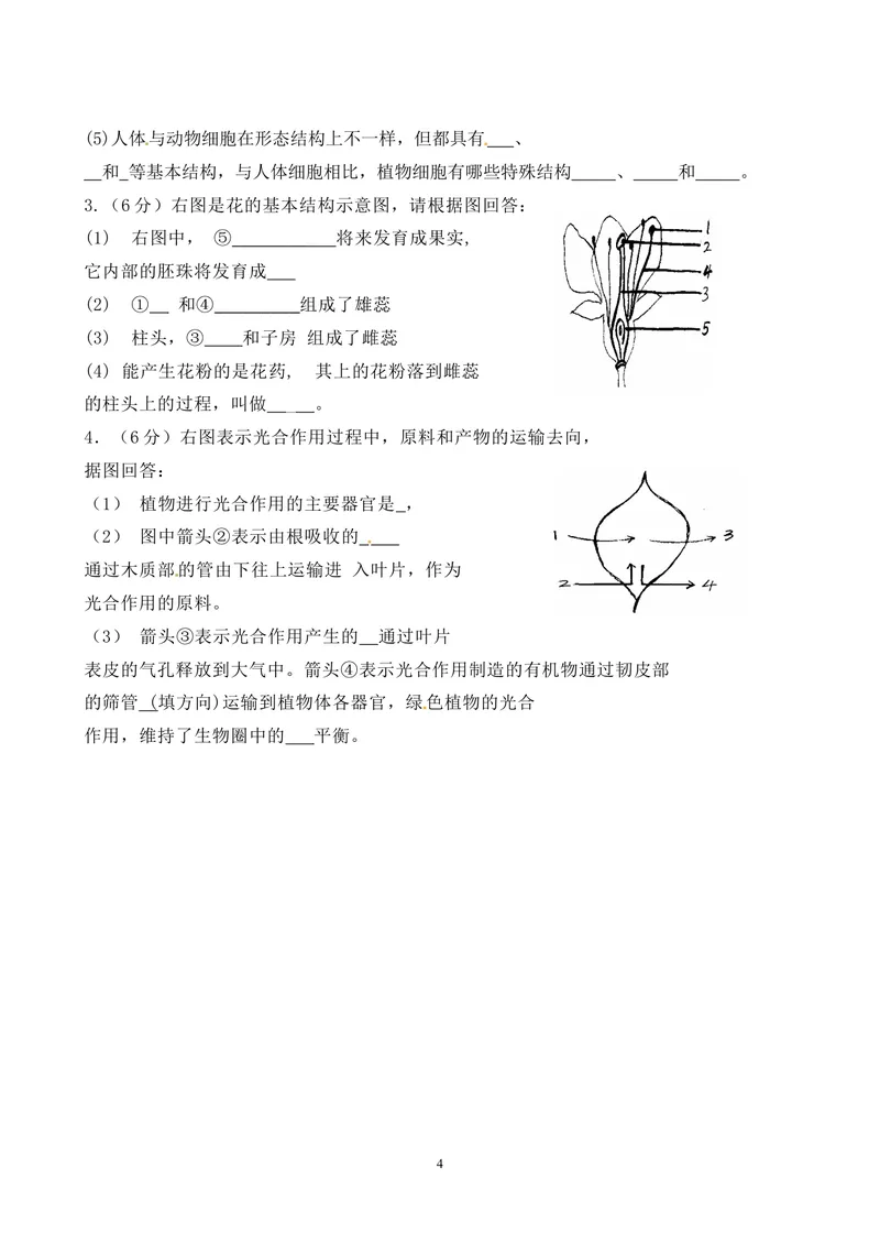 《七年级上期末生物试卷——15_初中全科目同步习题+精品试卷（7-9年级）_25秋初中生物《同步习题+精品试卷》_初中生物试卷（人教版）_《期末试卷》》第4页预览