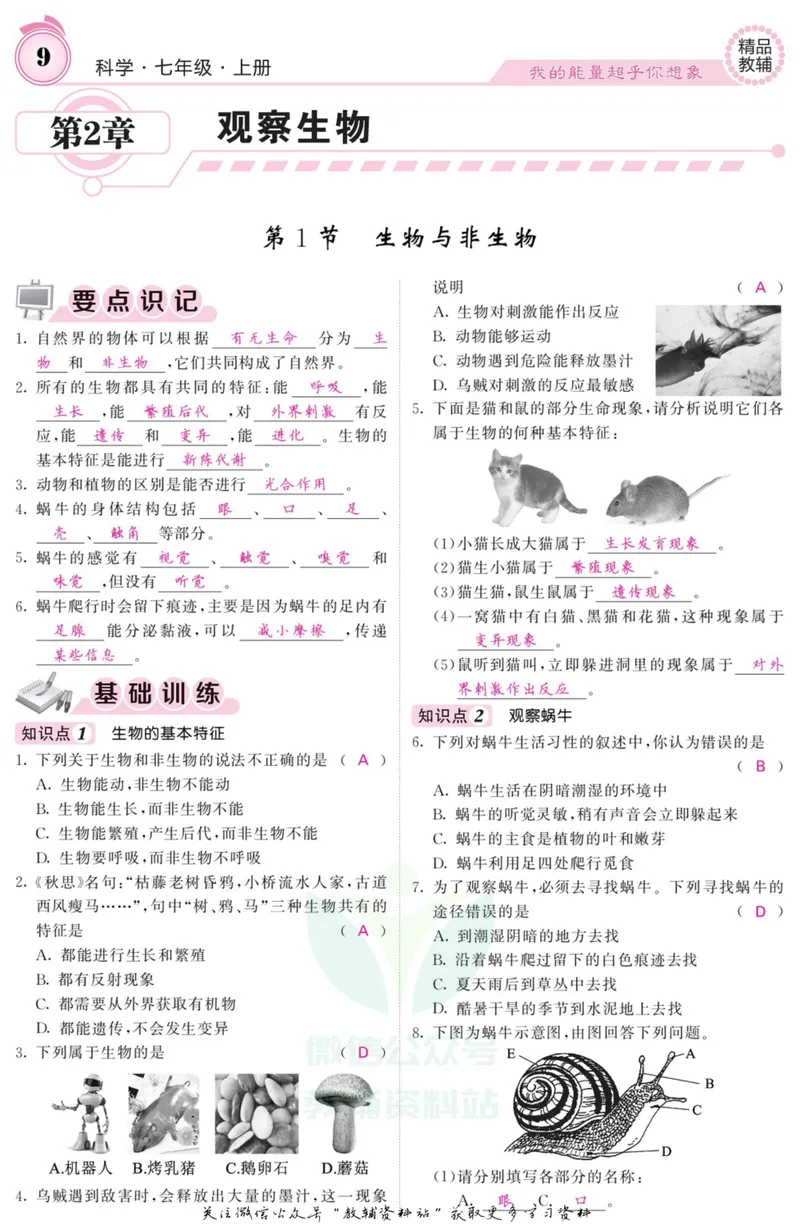 《《课堂内外》七年级上册科学浙教版A本教师用书_初中全科目同步习题+精品试卷（7-9年级）_25秋初中科学《同步习题+精品试卷》_《课堂内外》》第10页预览