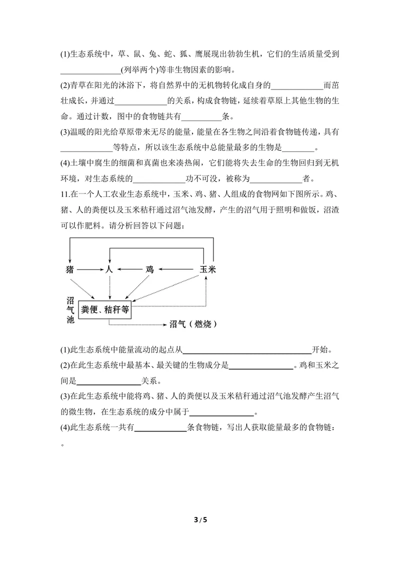 《《食物链和食物网》同步练习2_初中全科目同步习题+精品试卷（7-9年级）_25秋初中生物《同步习题+精品试卷》_初中生物试卷（冀少版）_《同步练习+教案学案》_八年级下册_第二章生态系统》第3页预览