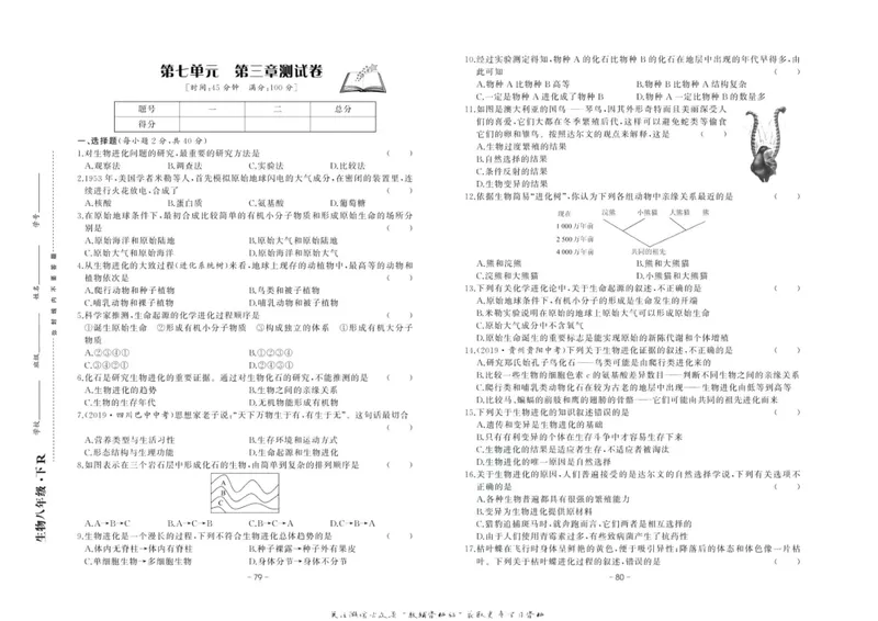 《中华题王八年级下册生物人教版测试卷_初中全科目同步习题+精品试卷（7-9年级）_25秋初中生物《同步习题+精品试卷》_初中生物试卷（人教版）_《中华题王测试卷》》第7页预览
