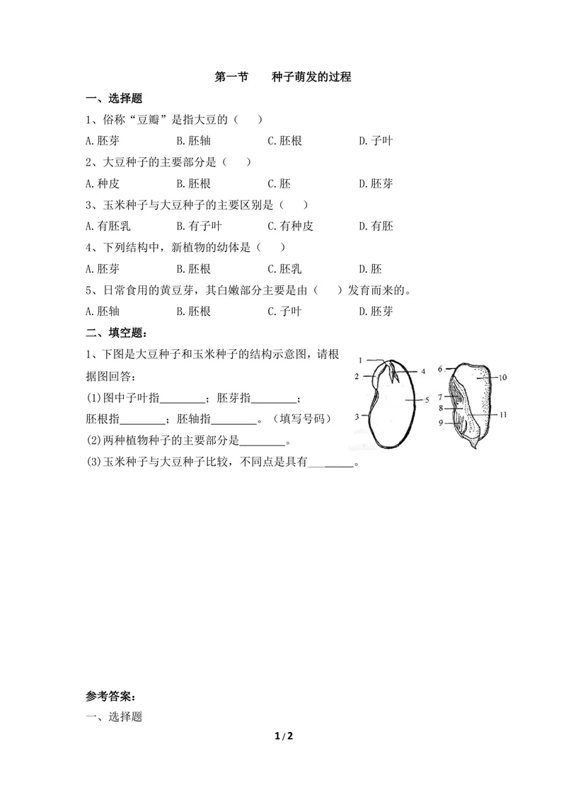 《《种子萌发的过程》同步练习_初中全科目同步习题+精品试卷(7-9年级)_25秋初中生物《同步习题+精品试卷》_初中生物试卷(冀少版)_《同步练习+教案学案》_八年级上册》第1页预览