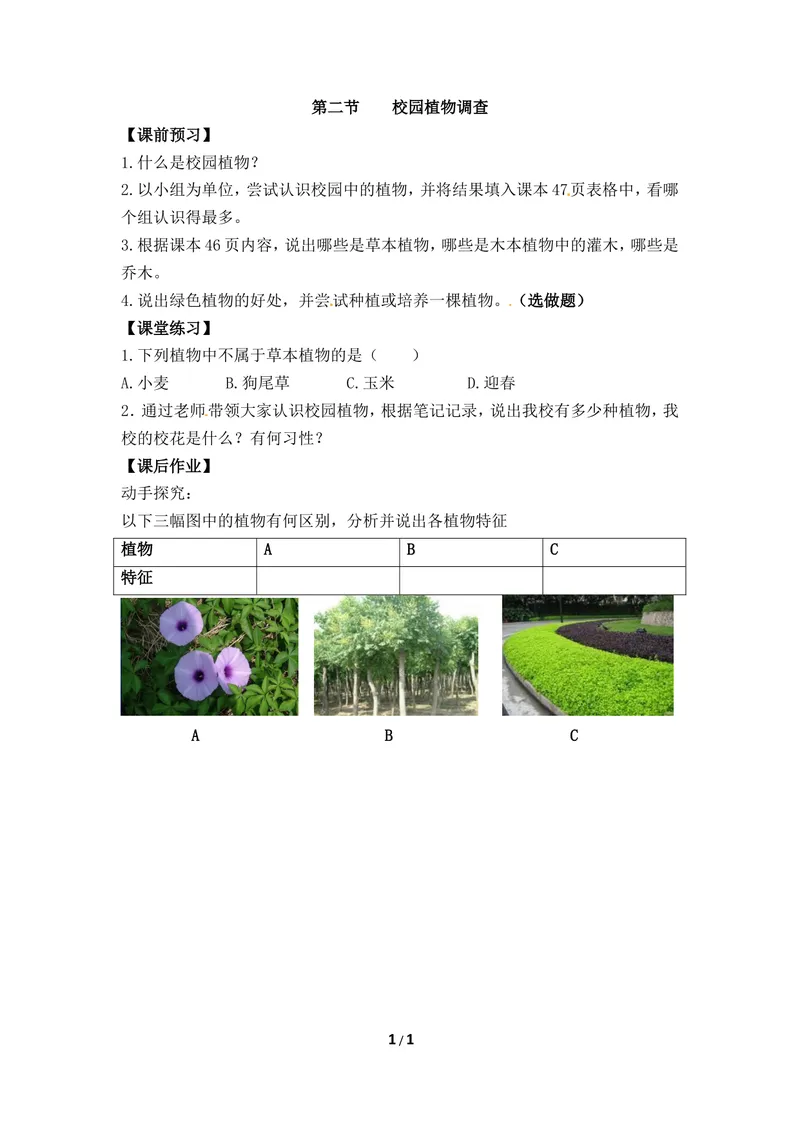 《《校园植物调查》参考导学案2_初中全科目同步习题+精品试卷(7-9年级)_25秋初中生物《同步习题+精品试卷》_初中生物试卷(冀少版)_《同步练习+教案学案》_七年级上册》第1页预览