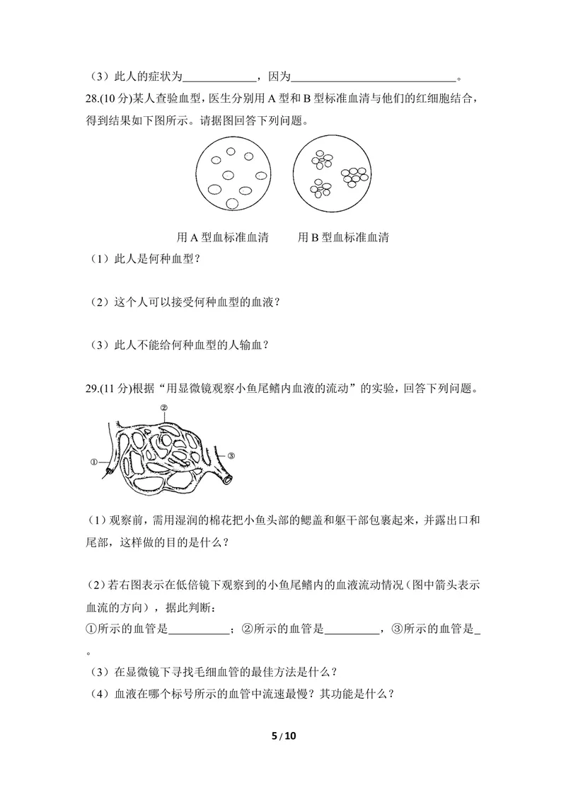 《《爱护心脏_确保运输》章末测试1_初中全科目同步习题+精品试卷（7-9年级）_25秋初中生物《同步习题+精品试卷》_初中生物试卷（冀少版）_《同步练习+教案学案》_七年级下册》第5页预览