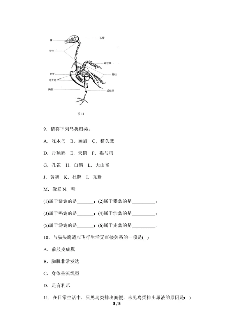 《《鸟类》巩固练习_初中全科目同步习题+精品试卷（7-9年级）_25秋初中生物《同步习题+精品试卷》_初中生物试卷（冀少版）_《同步练习+教案学案》_七年级上册_第四章多种多样的动物》第3页预览