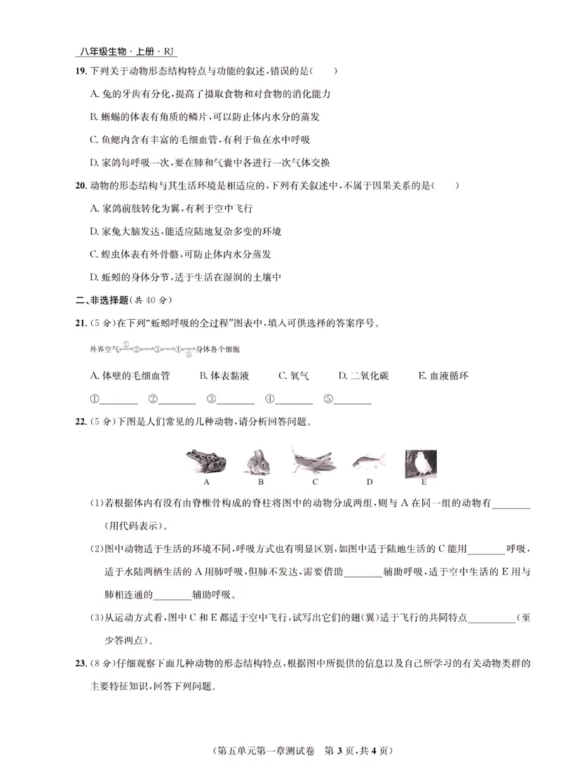 《一卷好题·八年级上册生物人教版·正文_初中全科目同步习题+精品试卷（7-9年级）_25秋初中生物《同步习题+精品试卷》_初中生物试卷（人教版）_《一卷好题》》第4页预览