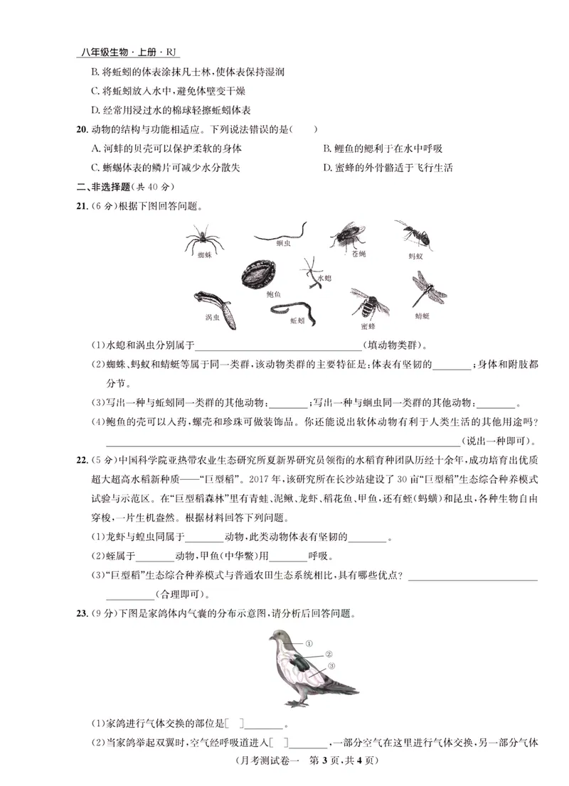 《一卷好题·八年级上册生物人教版·正文_初中全科目同步习题+精品试卷（7-9年级）_25秋初中生物《同步习题+精品试卷》_初中生物试卷（人教版）_《一卷好题》》第8页预览