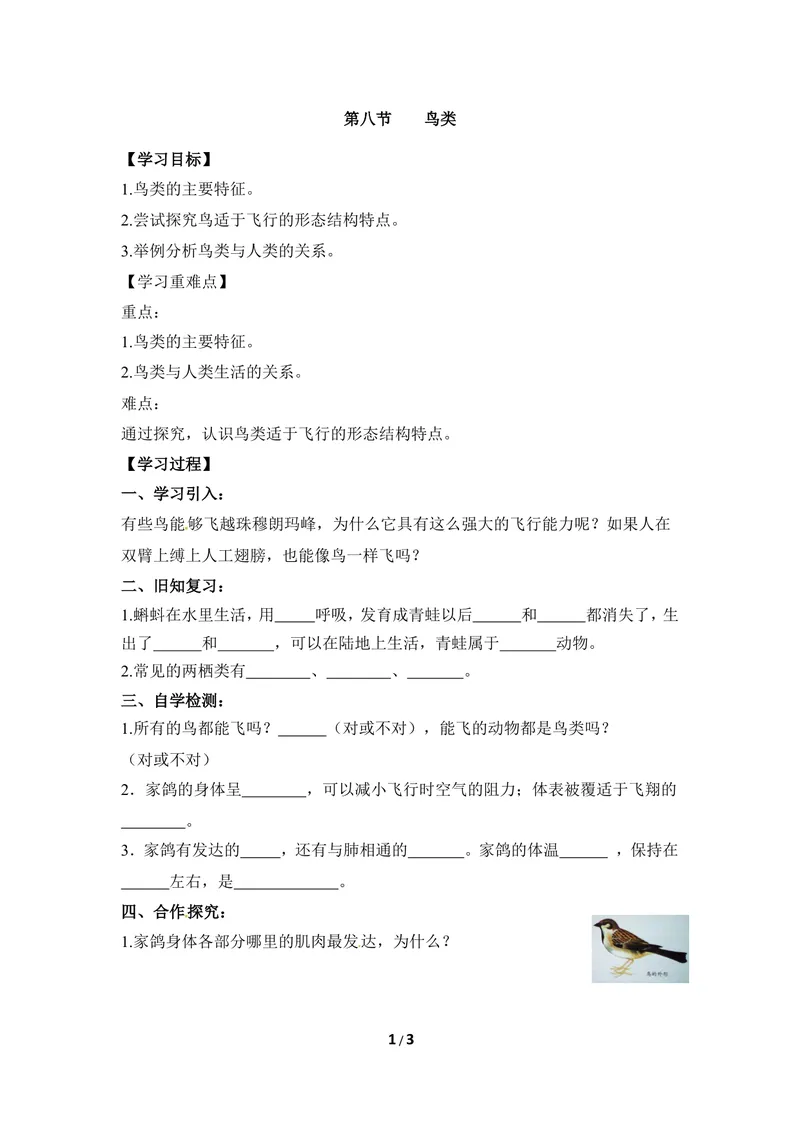 《《鸟类》导学案1_初中全科目同步习题+精品试卷（7-9年级）_25秋初中生物《同步习题+精品试卷》_初中生物试卷（冀少版）_《同步练习+教案学案》_七年级上册_第四章多种多样的动物》第1页预览