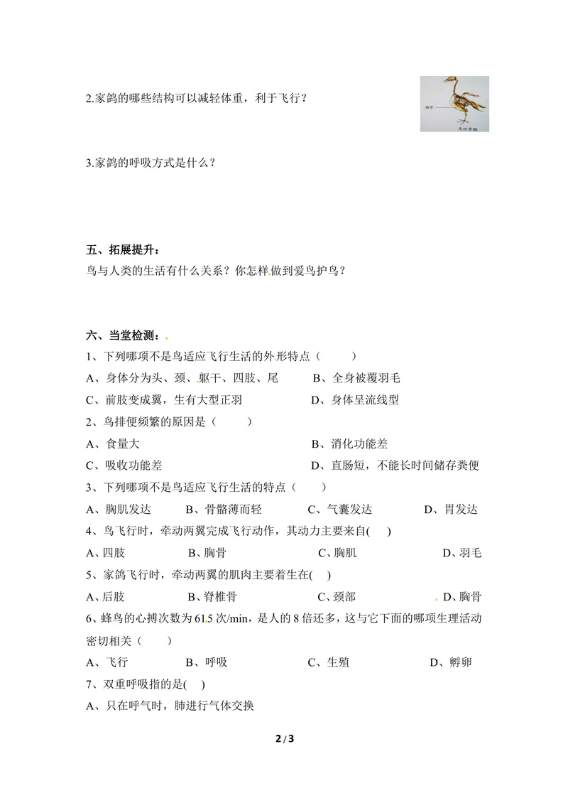 《《鸟类》导学案1_初中全科目同步习题+精品试卷（7-9年级）_25秋初中生物《同步习题+精品试卷》_初中生物试卷（冀少版）_《同步练习+教案学案》_七年级上册_第四章多种多样的动物》第2页预览