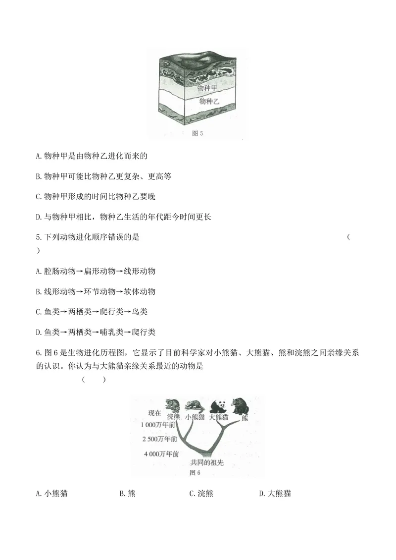《初中生物人教版八年级下册第七单元第三章生命的起源与生物的进化综合测试_初中全科目同步习题+精品试卷（7-9年级）_25秋初中生物《同步习题+精品试卷》_初中生物试卷（北师大）》第2页预览