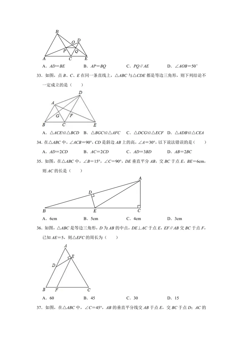 《初中数学八年级上册第13单元轴对称题库_0作业_初中全科目同步习题+精品试卷（7-9年级）_25秋初中数学《同步习题+精品试卷》_初中数学苏科版试卷_《优秀作业单》_八年级》第8页预览