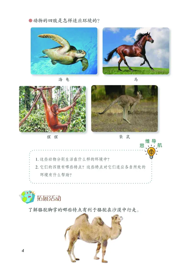 《03六制三上科学_小学1-6年级全科全套_2025更新专题（含教材）_寒假预复习必备资料2024新版小学教材电子版_小学科学_青岛版（无水印）_六制》第10页预览