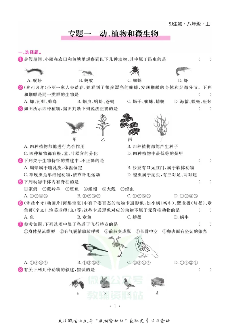 《名师练+考八年级上册生物苏教版专题巩固特训_初中全科目同步习题+精品试卷（7-9年级）_25秋初中生物《同步习题+精品试卷》_初中生物试卷（苏教版）》第2页预览