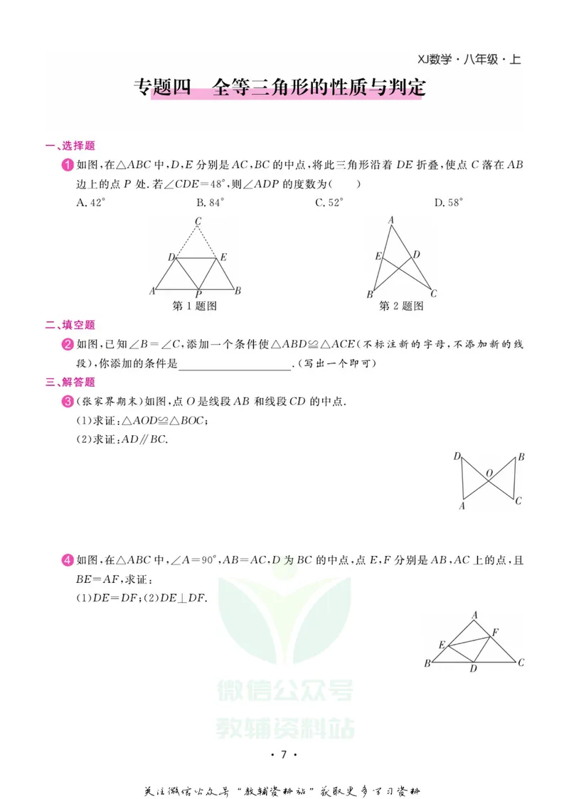 《名师练+考八年级上册数学湘教版专题巩固特训_初中全科目同步习题+精品试卷（7-9年级）_25秋初中数学《同步习题+精品试卷》_初中数学湘教版试卷_《名师练加考》》第8页预览