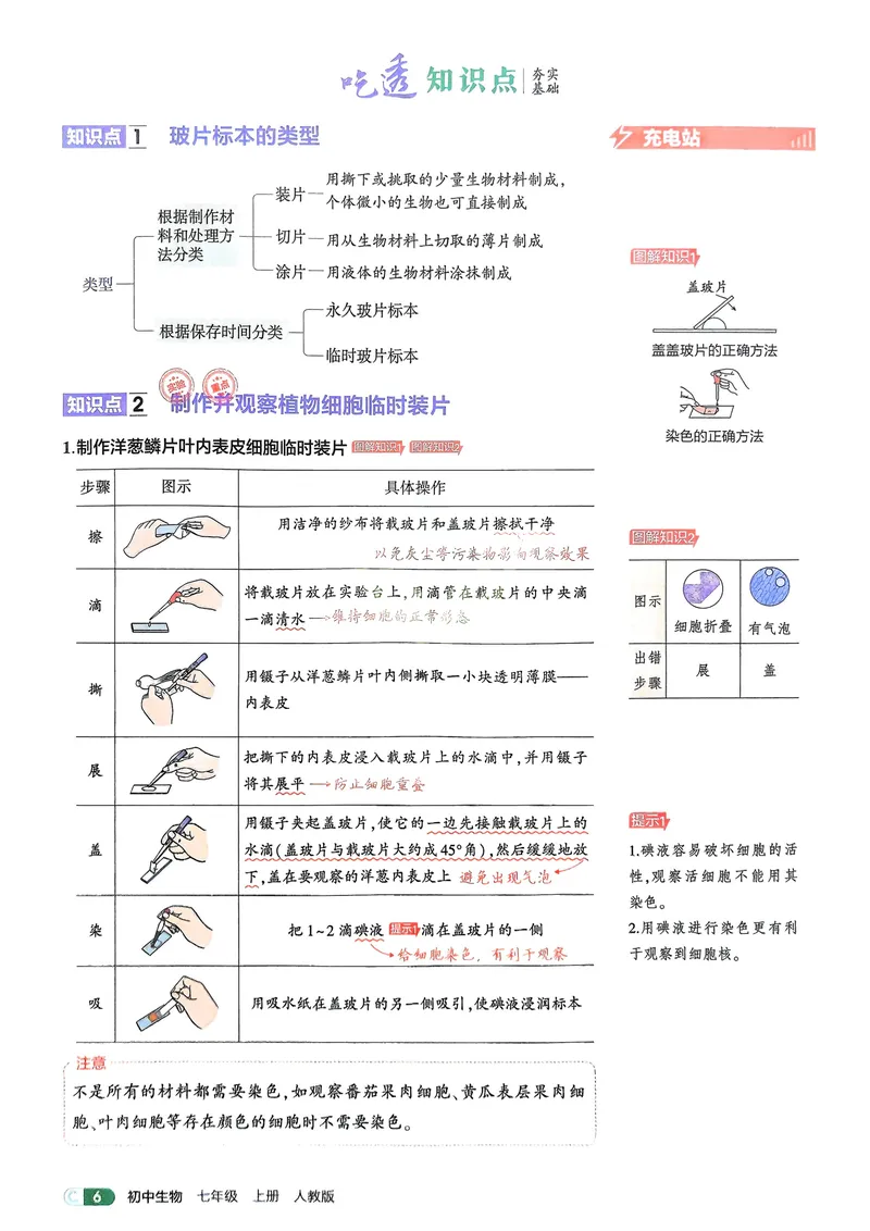 《2026《初中53同步》生物七上吃透重难点_25秋《53同步》初中系列_26版《53同步》七上各科_2026五三同步七上生物》第8页预览