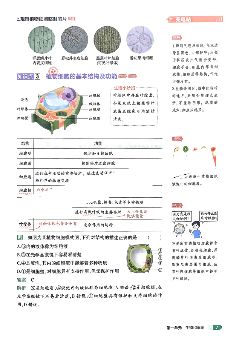 《2026《初中53同步》生物七上吃透重难点_25秋《53同步》初中系列_26版《53同步》七上各科_2026五三同步七上生物》第9页预览