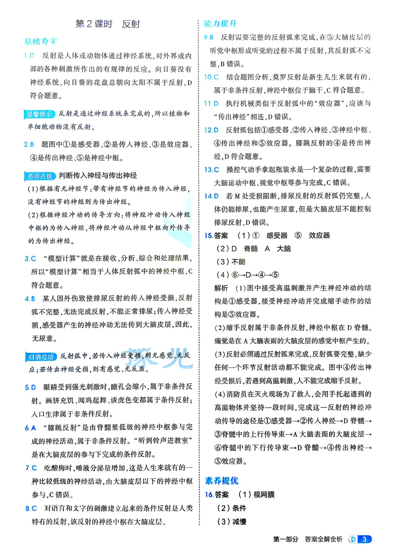 《生物8年级上册解析册_25秋《53同步》初中系列_26版《53同步》八上全科_2026五三同步八上生物》第5页预览