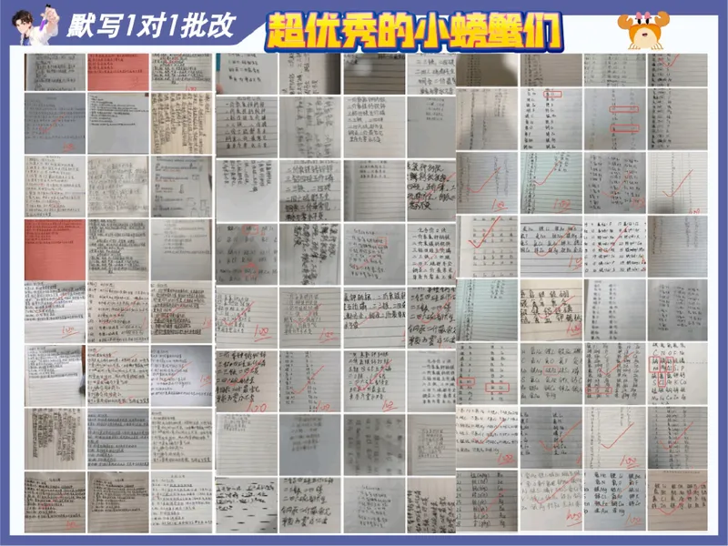 《17.课堂笔记主讲课中笔记_26初三网课_2026初三化学杨雯智_5.2.2025秋上.S班初三化学培训班（杨雯智）_课堂笔记》第8页预览