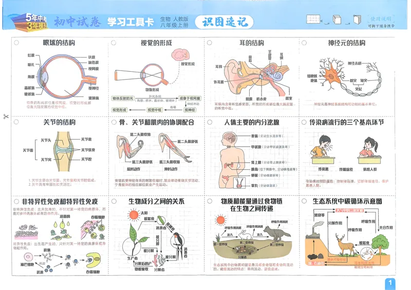 《生物8年级上册_25秋《53同步》初中系列_202653同步试卷八上小四门》第2页预览