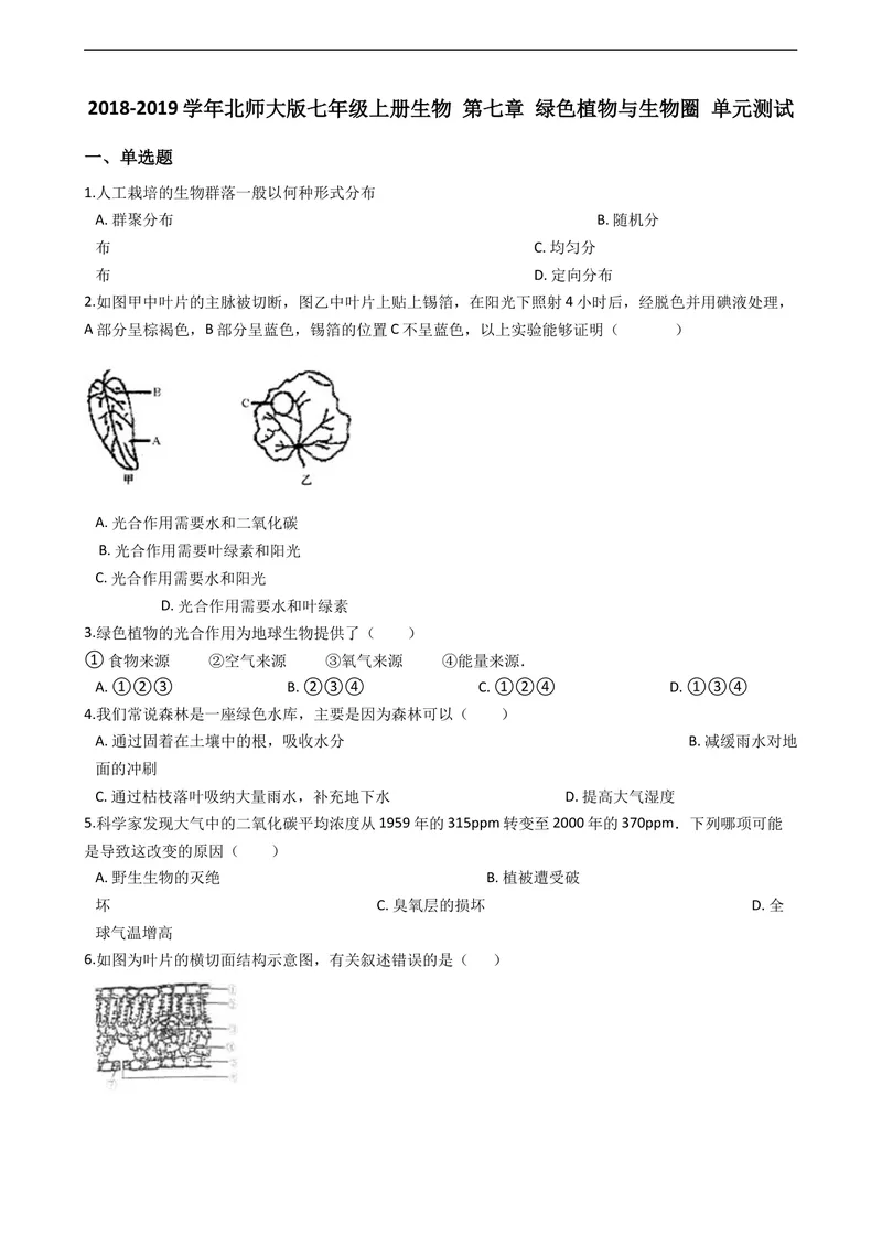 《北师大版七年级上册生物第7章绿色植物与生物圈单元测试（含解析）_初中全科目同步习题+精品试卷（7-9年级）_25秋初中生物《同步习题+精品试卷》_初中生物试卷（北师大）_《单元试卷》》第1页预览
