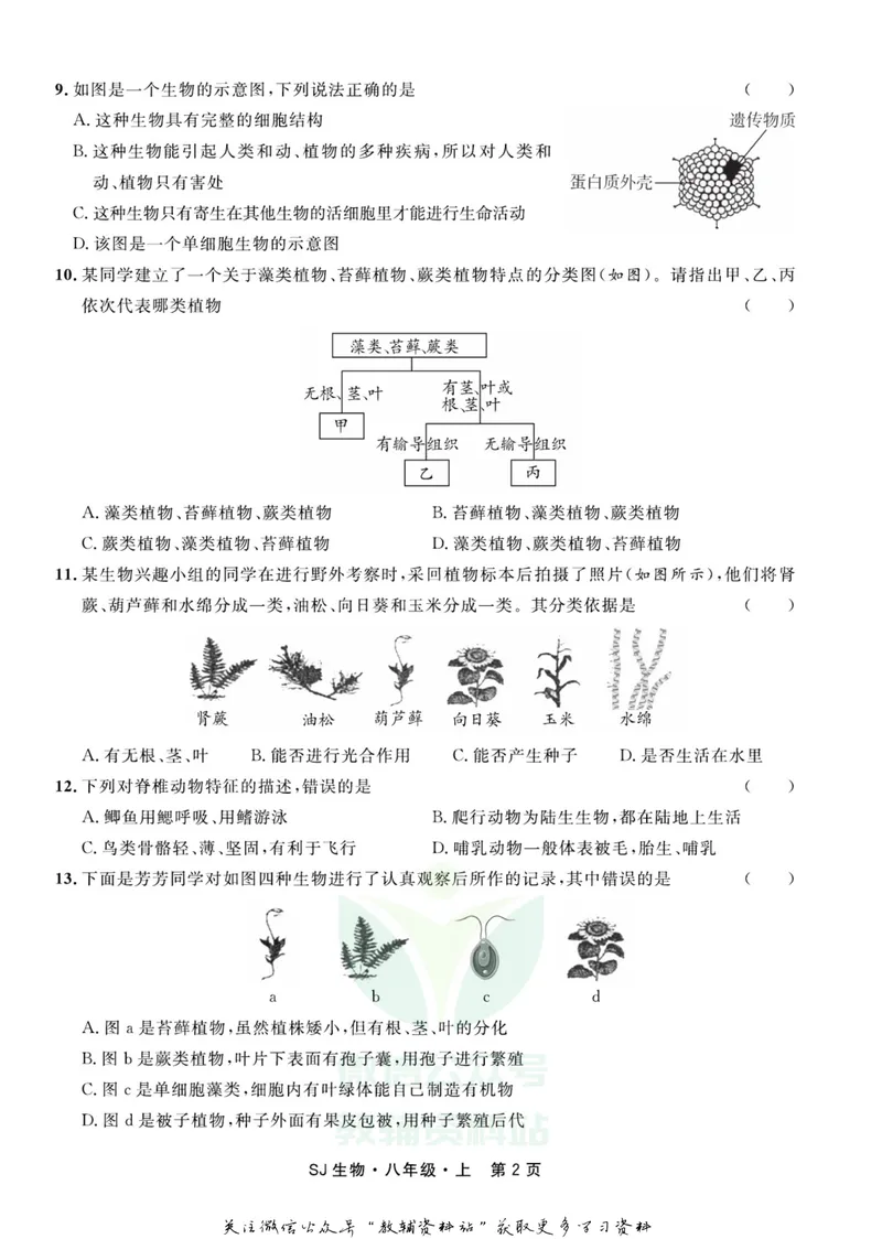 《名师练+考八年级上册生物苏教版_初中全科目同步习题+精品试卷（7-9年级）_25秋初中生物《同步习题+精品试卷》_初中生物试卷（苏教版）》第4页预览