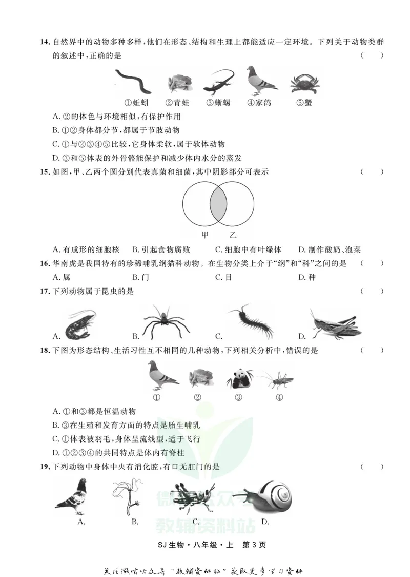 《名师练+考八年级上册生物苏教版_初中全科目同步习题+精品试卷（7-9年级）_25秋初中生物《同步习题+精品试卷》_初中生物试卷（苏教版）》第5页预览